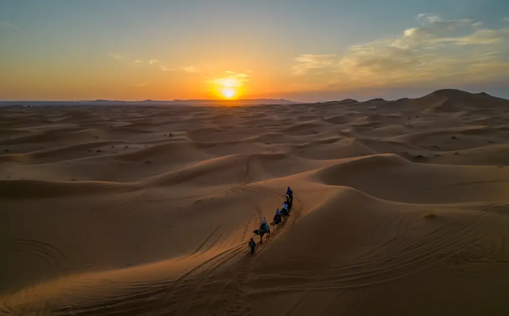 Desert Tours