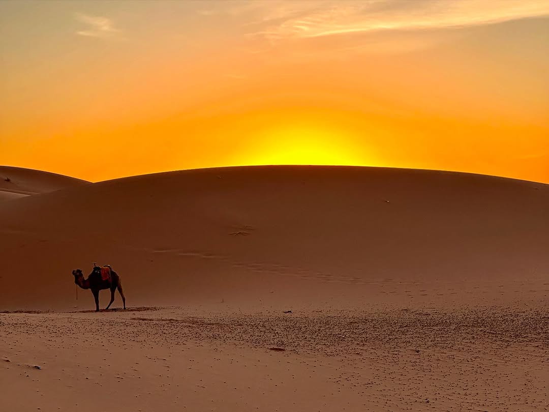 Shared Marrakech to Fes Desert Tour - Image 3